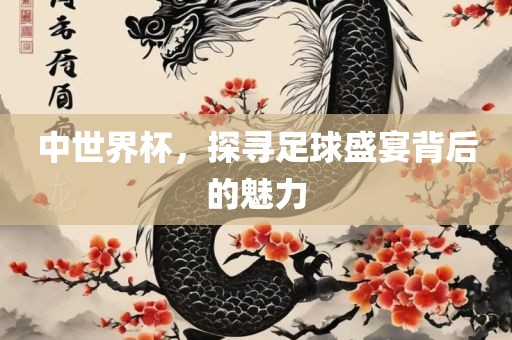中世界杯，探寻足球盛宴背后的魅力