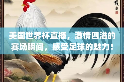 美国世界杯直播，激情四溢的赛场瞬间，感受足球的魅力！