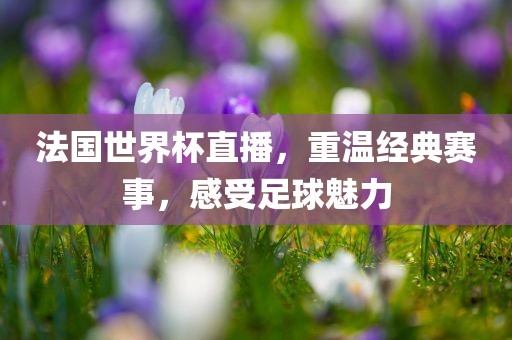 法国世界杯直播，重温经典赛事，感受足球魅力