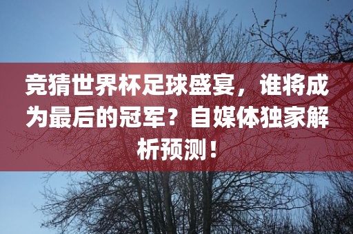 竞猜世界杯足球盛宴，谁将成为最后的冠军？自媒体独家解析预测！