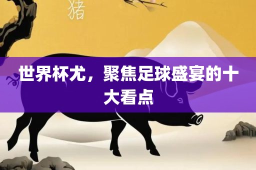 世界杯尤，聚焦足球盛宴的十大看点