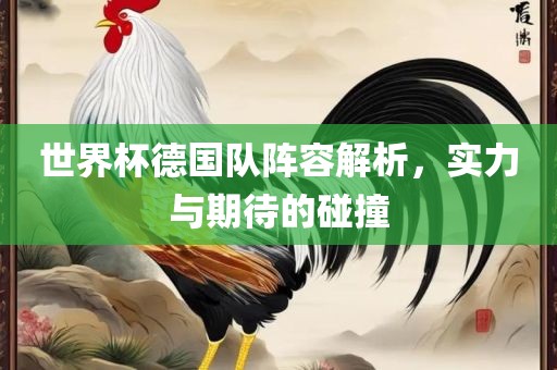 世界杯德国队阵容解析，实力与期待的碰撞