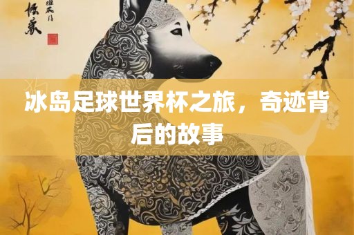 冰岛足球世界杯之旅，奇迹背后的故事
