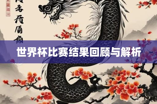 世界杯比赛眉山市正发家政服务有限公司结果回顾与解析