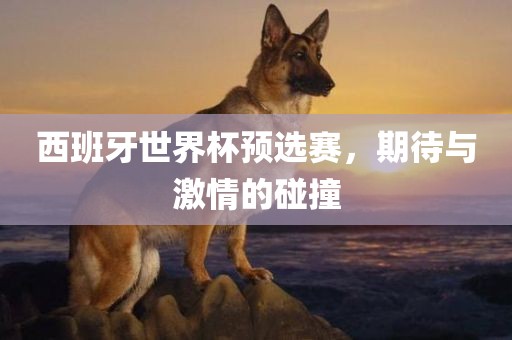 西班牙世界杯预选赛，期待与激情的碰撞