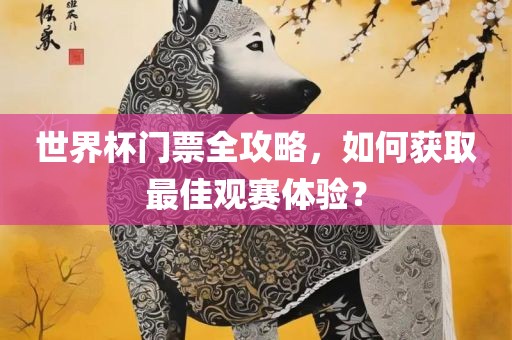 世界杯门票全攻略，如何获取最佳观赛体验？