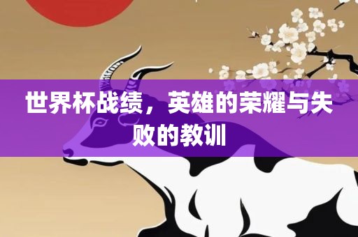 世界杯战绩，英雄的荣耀与失败的教训