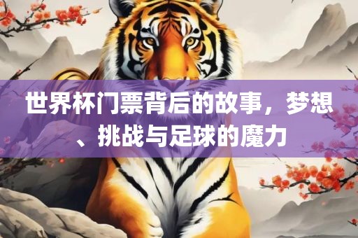 世界杯门票背后的故事，梦想、挑战与足球的魔力
