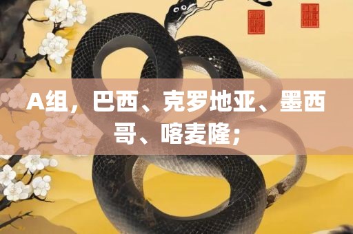 A组，巴西、克罗地亚、墨西哥、喀麦隆；