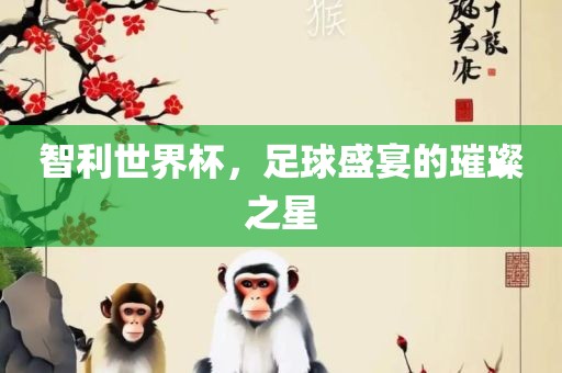 智利世界杯，足球盛宴的璀璨之星
