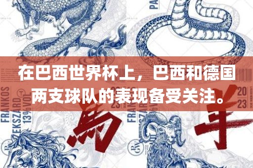 在巴西世界杯上，巴西和德国两支球队的表现备受关注。