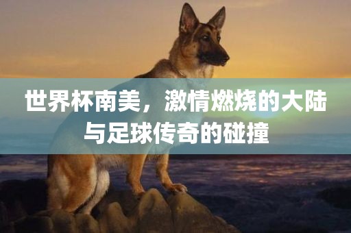 世界杯南美，激情燃烧的大陆与足球传奇的碰撞