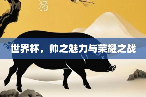 世界杯，帅之魅力与荣耀之战