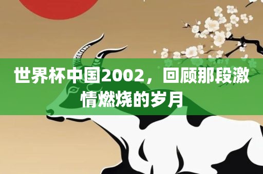 世界杯中国2002，回顾那段激情燃烧的岁月