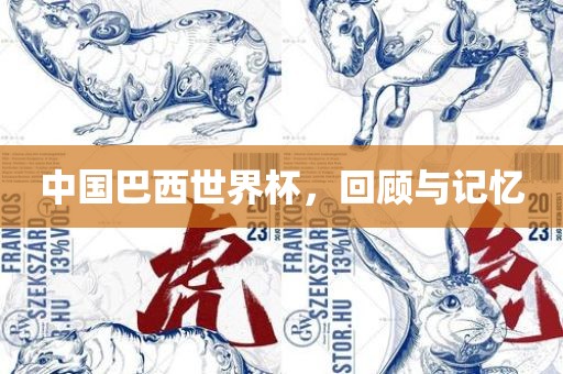 中国巴西世界杯，回顾与记忆