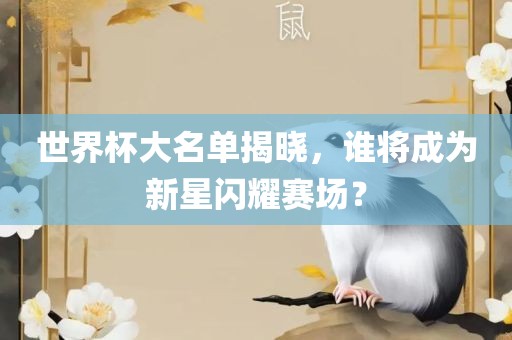 世界杯大名单揭晓，谁将成为新星闪耀赛场？