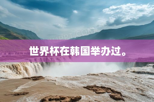 世界杯在韩国举办过。