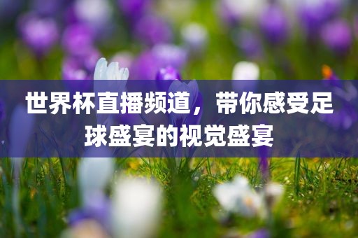 世界杯直播频道，带你感受足球盛宴的视觉盛宴