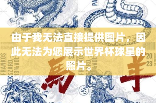由于我无法直接提供图片，因此无法为您展示世界杯球星的照片。