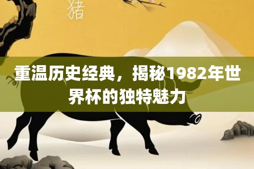 重温历史经典，揭秘1982年世界杯的独特魅力