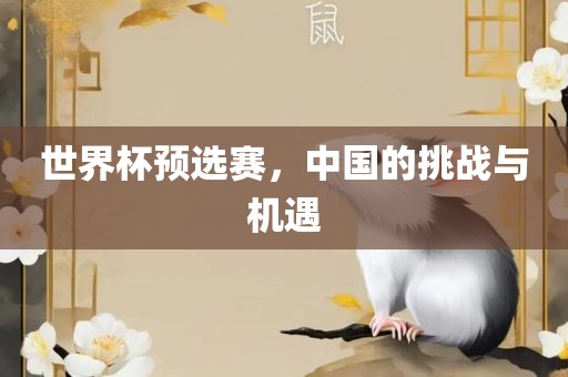 世界杯预选赛，中国的挑战与机遇