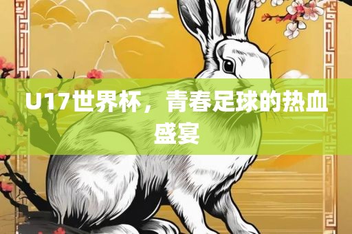 U17世界杯，青春足球的热血盛宴
