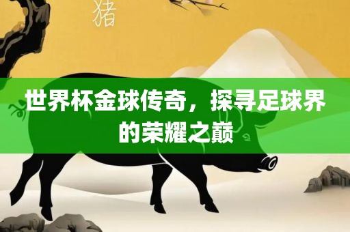 世界杯金球传奇，探寻足球界的荣耀之巅