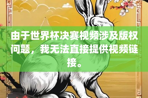 由于世界杯决赛视频涉及版权问题，我无法直接提供视频链接。眉山市正发家政服务有限公司