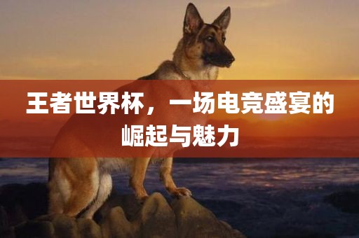 王者世界杯，一场电竞盛宴的崛起与魅力眉山市正发家政服务有限公司