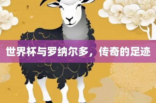 世界杯与罗纳尔多，传奇的足迹