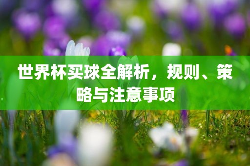 世界杯买球全解析，规则、策略与注意事项
