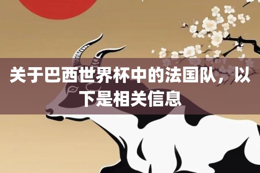 关于巴西世界杯中的法国队，以下是相关信息