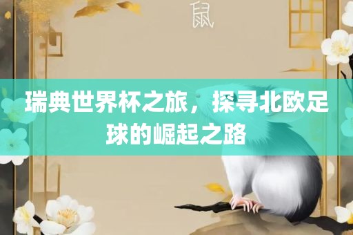 瑞典世界杯之旅，探寻北欧足球的崛起之路
