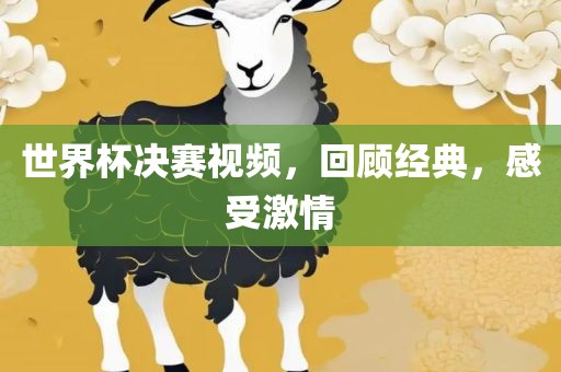 世界杯决赛视频，回顾经典，感受激情