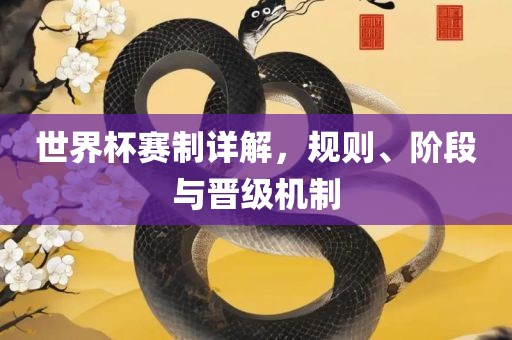 世界杯赛制详解，规则、阶段与晋级机制