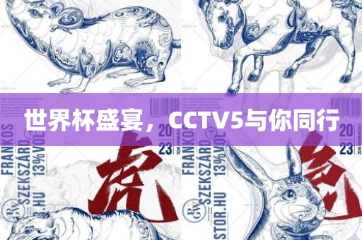 世界杯盛宴，CCTV5与你同行