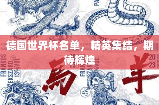 德国世界杯名单，精英集结，期待辉煌
