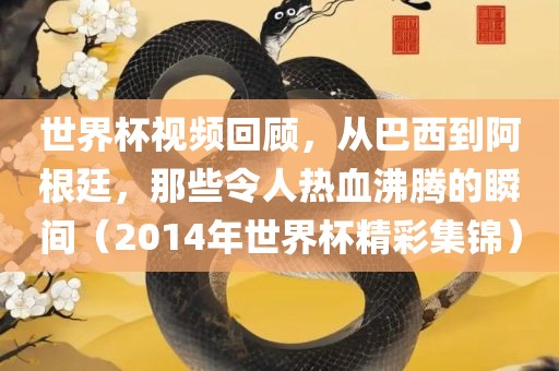 世界杯视频回顾，从巴西到阿根廷，那些令人热血沸腾的瞬间（2014年世界杯精彩集锦）