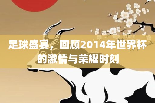 足球盛宴，回顾2014年世界杯的激情与荣耀时刻