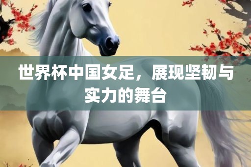 世界杯中国女足，展现坚韧与实力的舞台