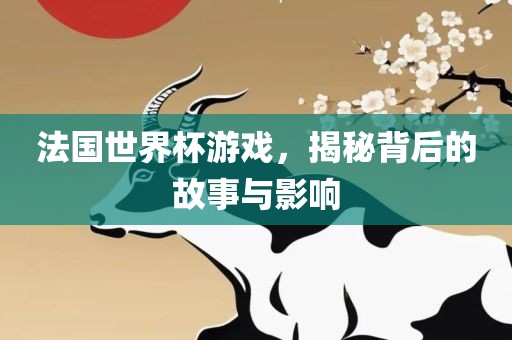 法国世界杯游戏，揭秘背后的故事与影响