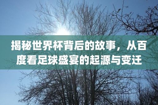 揭秘世界杯背后的故事，从百度看足球盛宴的起源与变迁