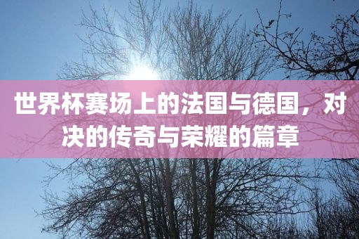 世界杯赛场上的法国与德国，对决的传奇与荣耀的篇章