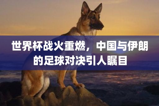世界杯战火重燃，中国与伊朗的足球对决引人瞩目