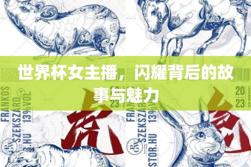 世界杯女主播，闪耀背后的故事与魅力