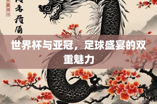 世界杯与亚冠，足球盛宴的双重魅力