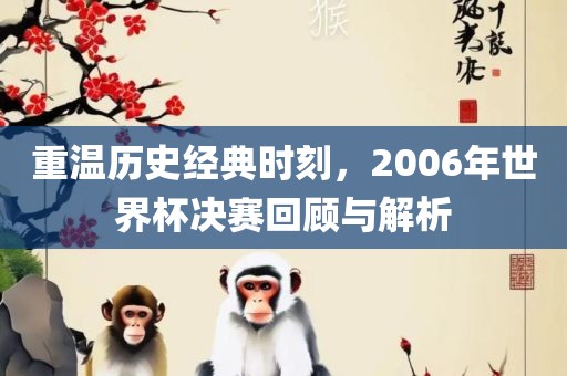 重温历史经典时刻，2006年世界杯决赛回顾与解析