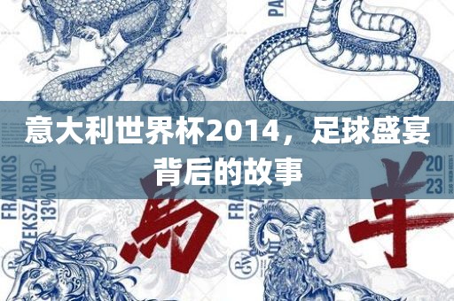 意大利世界杯2014，足球盛宴背后的故事