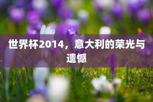 世界杯2014，意大利的荣光与遗憾