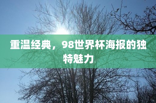 重温经典，98世界杯海报的独特魅力